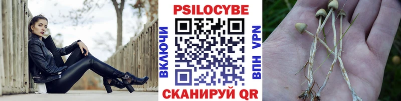 Купить  Райчихинск  Псилоцибиновые грибы мухоморы 